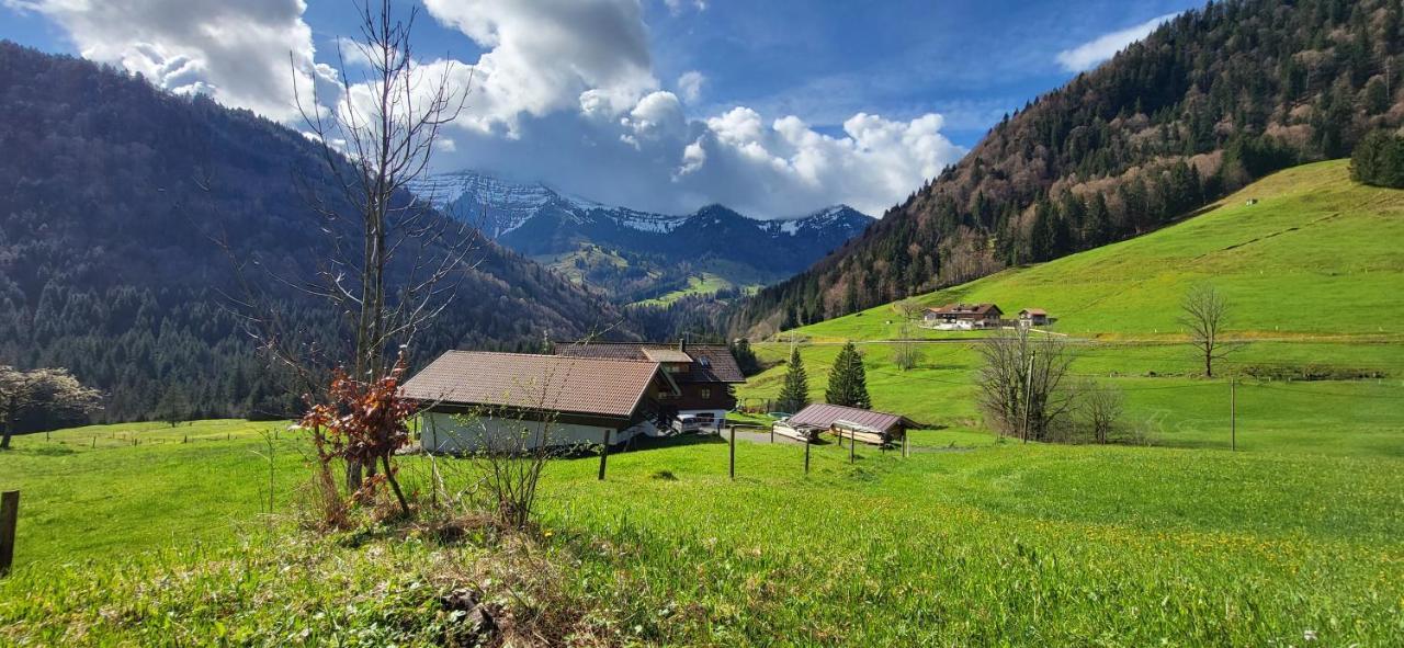Fewo Allgaeuzeit Mit Wlan Oberstaufen Steibis Экстерьер фото