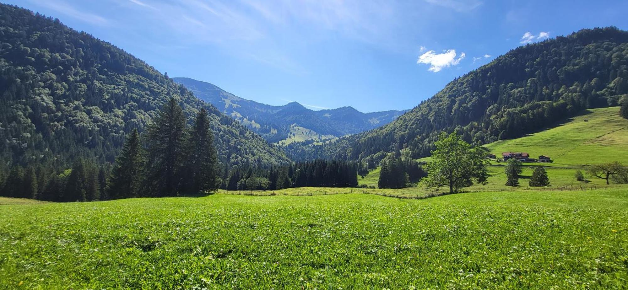 Fewo Allgaeuzeit Mit Wlan Oberstaufen Steibis Экстерьер фото